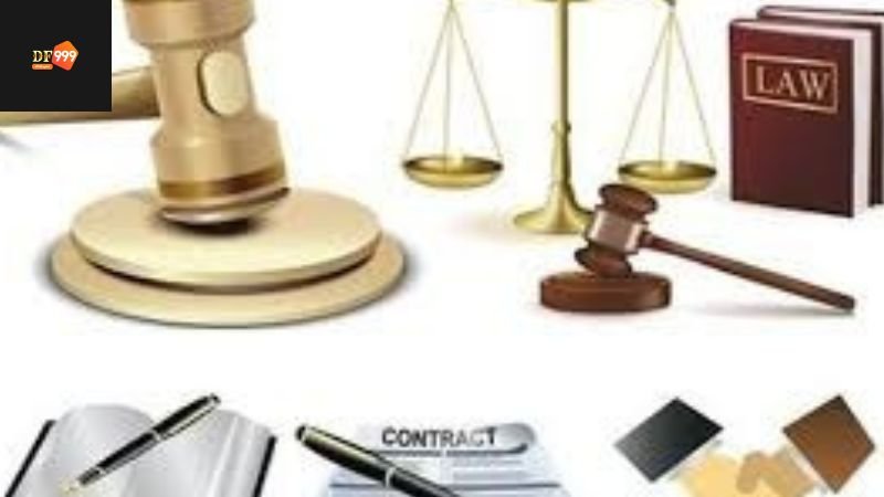 Nội dung chính sách bản quyền